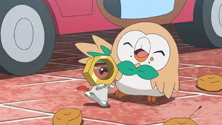 Image de Qui a vu Meltan ?