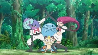 Image de Un Pokémon très convoité...