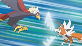 Image de Un combat à nulle autre pareil !