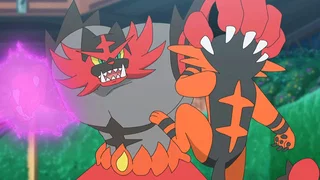 Image de Des surprises flamboyantes !