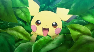 Image de Un Pichu solitaire !