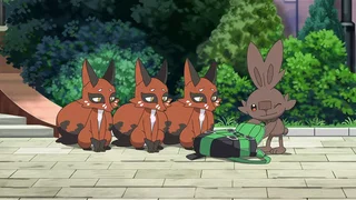 Image de Flambino, un Pokémon rusé !