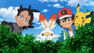 Image de Tous les Pokémon... sauf Mew !