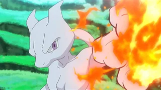 Image de Un combat largement récompensé !