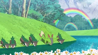 Image de Laqua, le paradis des Pokémon