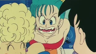 Image de Sangoku retrouve ses amis