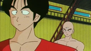 Image de Yamcha contre Tenshinhan