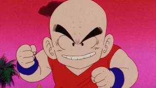 Image de Les Meilleurs Coups de Krilin