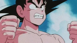 Image de Le Dernier Combat