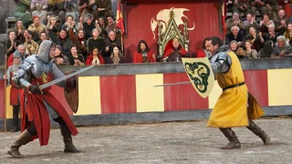 Image de Le Chevalier Valiant