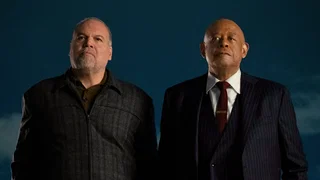Image de Nous sommes tous des rois