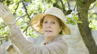 Image de Révolution à Downton