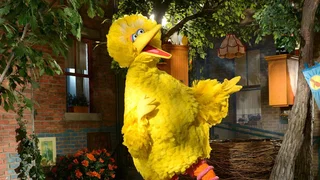 Image de Épisode 15