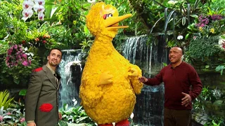 Image de Épisode 29