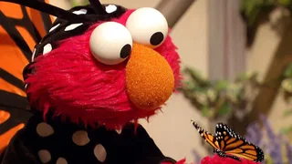 Image de Épisode 20
