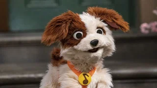 Image de Épisode 6