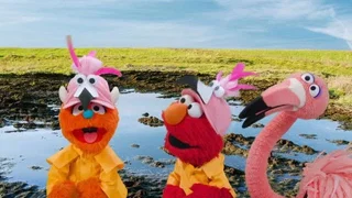 Image de Épisode 12