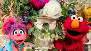 Image de Épisode 11