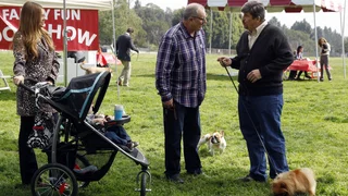 Image de Photo de famille