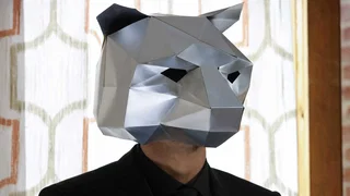Image de Le masque d'ours