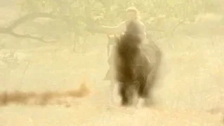 Image de La légende du bison blanc