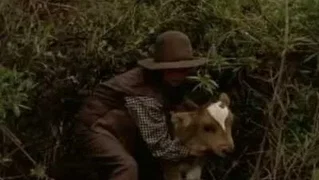 Image de Le troupeau (2/2)