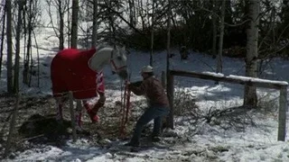Image de Épisode 1
