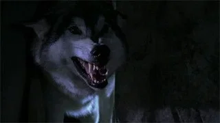 Image de Épisode 11