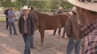 Image de Épisode 8