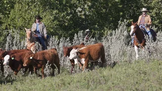Image de Épisode 3