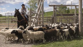 Image de Épisode 4