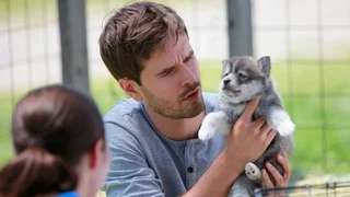 Image de Épisode 5