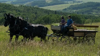 Image de Épisode 7