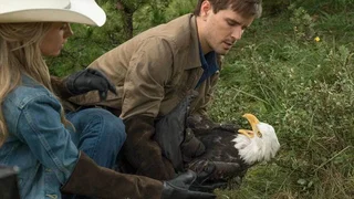 Image de Épisode 6