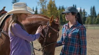 Image de Épisode 11