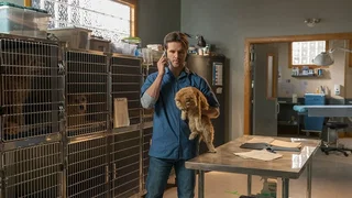 Image de Un passé compliqué