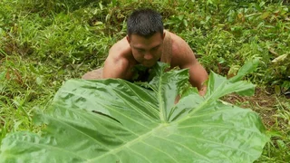 Image de La forêt de la douleur