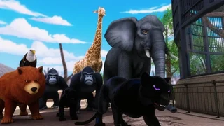 Image de Animan