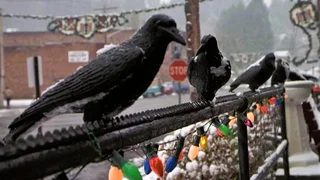 Image de Épisode 10