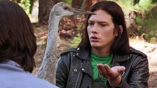 Image de Épisode 7