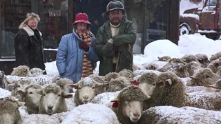 Image de Le Vent mauvais