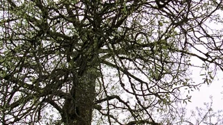 Image de Épisode 25