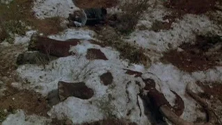 Image de Épisode 24