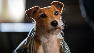 Image de Épisode 6