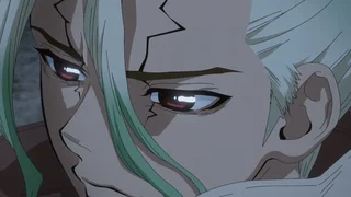 Image de Our Dr Stone
