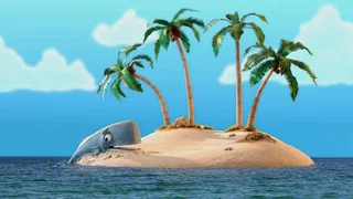 Image de Observons les baleines