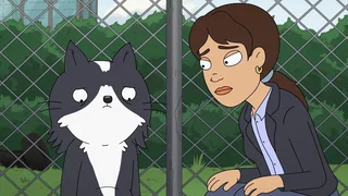 Image de Épisode 8