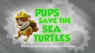 Image de Les Bébés tortues de mer