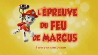 Image de L'Épreuve du feu de Marcus