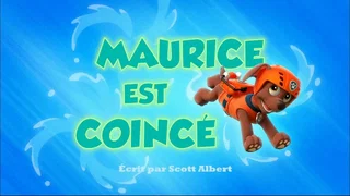 Image de Maurice est coincé
